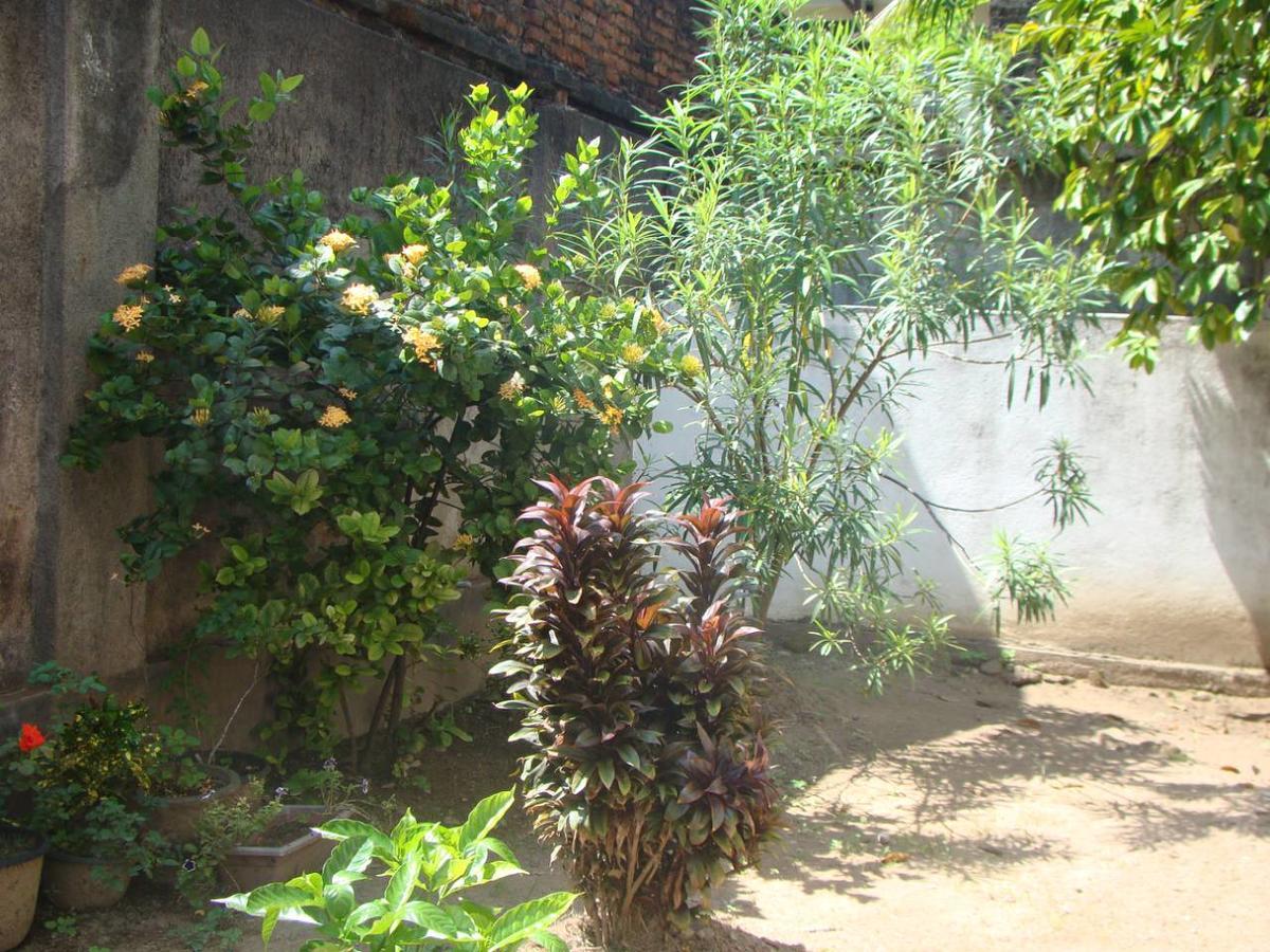 Moragalla Dilu Villa เบอร์อูวาลา ภายนอก รูปภาพ